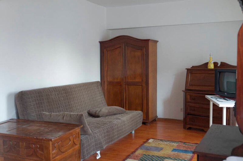 Piata Victoriei - Banu Manta Garsoniera inchiriere, Pet friendly