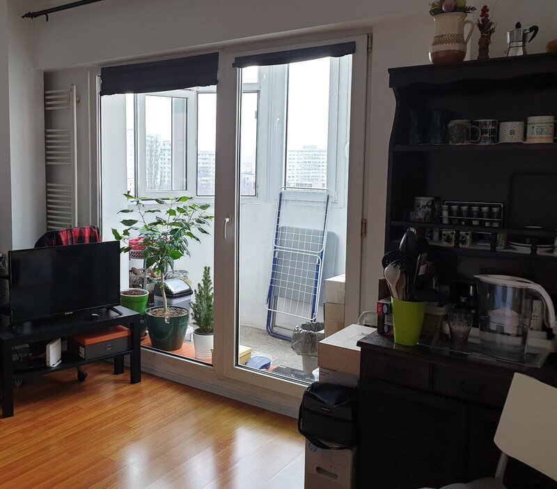 Piata Victoriei - Banu Manta Garsoniera inchiriere, Pet friendly